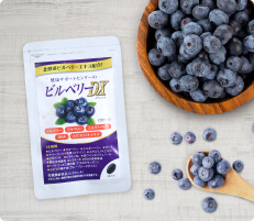 ビルベリーDX